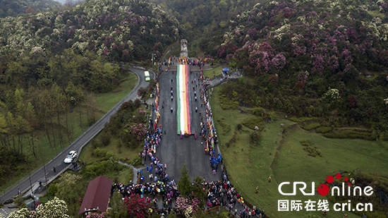 Guizhou Baili Azalea Festival begins