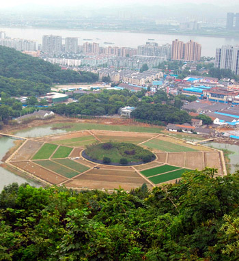 Hangzhou re-ploughs ancient octagon farmland