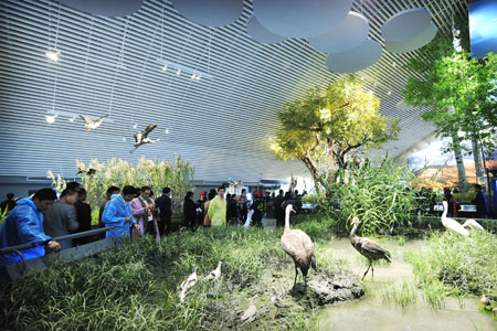 China's Wetland Museum opens to public