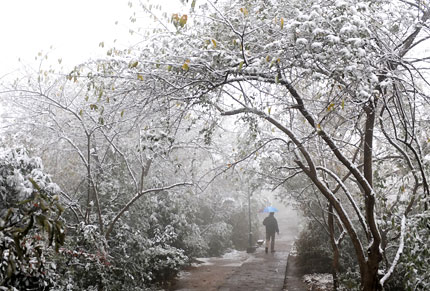 Snow cuts power supply to 640,000 people in E China