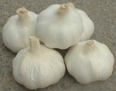Garlic is not cure to A/H1N1 flu: China Commerce Ministry
