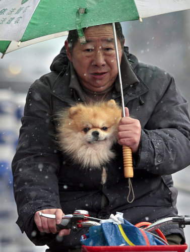 Hangzhou embraces first snow