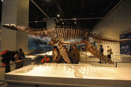 Fossils of Triassic marine reptiles on display in E China