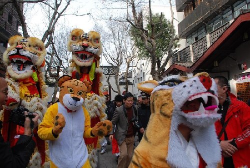 Tiger parade spreads happiness