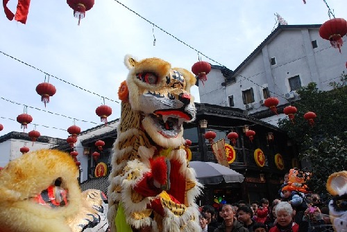 Tiger parade spreads happiness