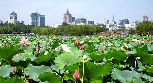Hangzhou explores visions for future
