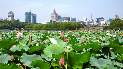 Hangzhou - “Presenting City