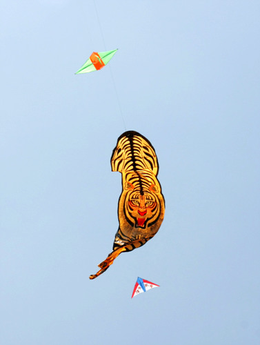 Kites fly in Hangzhou