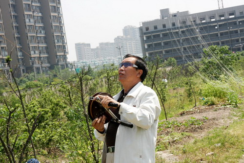 Kites fly in Hangzhou