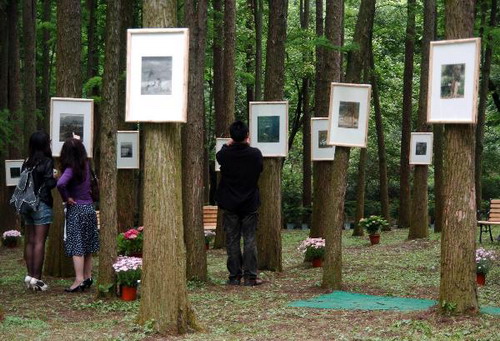 Chinese artist Zeng Mi's personal exhibition