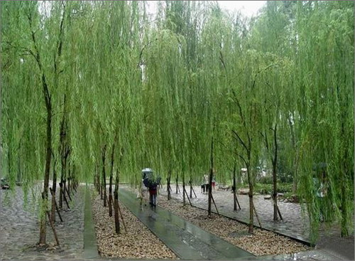 West Lake in Hangzhou