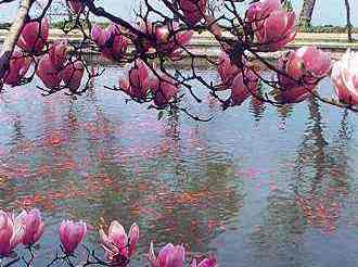 West Lake in Hangzhou