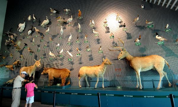 Visiting China's Wetland Museum in Hangzhou