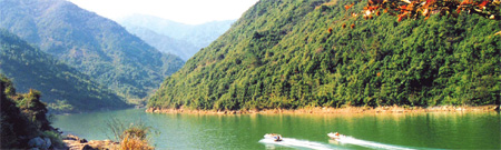 Hangzhou Special: Tourists cool off at Tianmu Canyon's summer festival