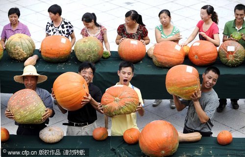 Pumpkin contest in E. China