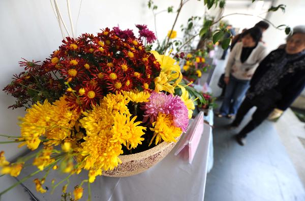 Chrysanthemum show held in China's Hangzhou Botanical Garden