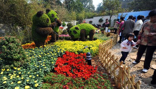 Chrysanthemum show held in China's Hangzhou Botanical Garden