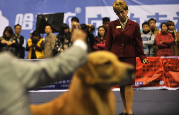 Dog show in east China