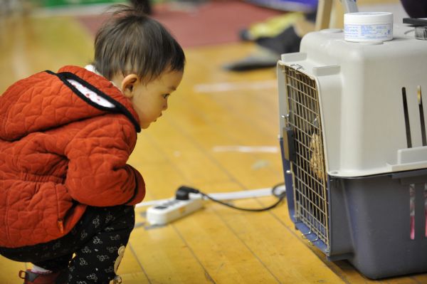 Dog show in east China