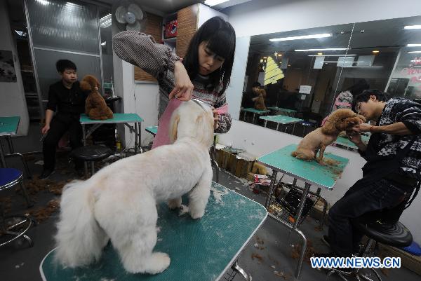 Pet beauticians become popular in China