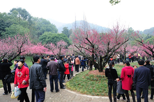 Chaoshan Plum Blossom Festival