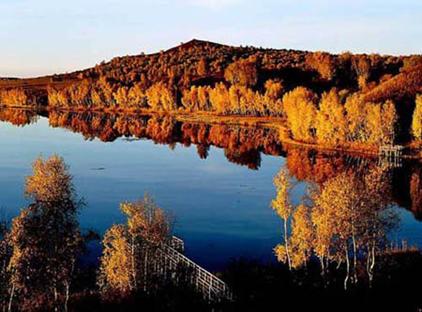 Bashang Grasslands--an ideal place to admire maple leaves