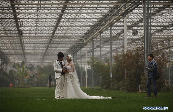 Greenhouses taken as safe havens in Hebei