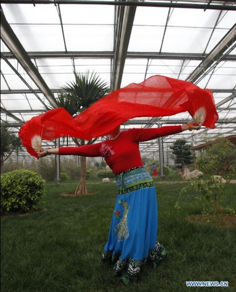 Greenhouses taken as safe havens in Hebei