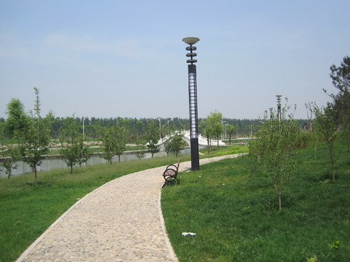 Caofeidian Forest Park officially opens to the public