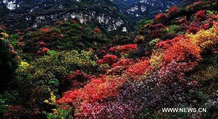 Late autumn landscape of Taihang Mountains