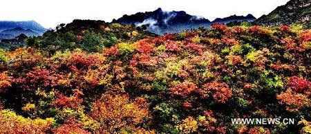 Late autumn landscape of Taihang Mountains