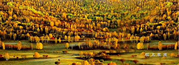 Bashang grasslands