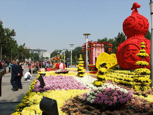 The Chrysanthemum Show