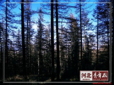 Hebei scenic areas to offer discount