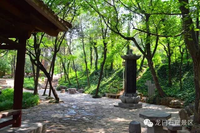 Shooting tips in Longmen Grottoes