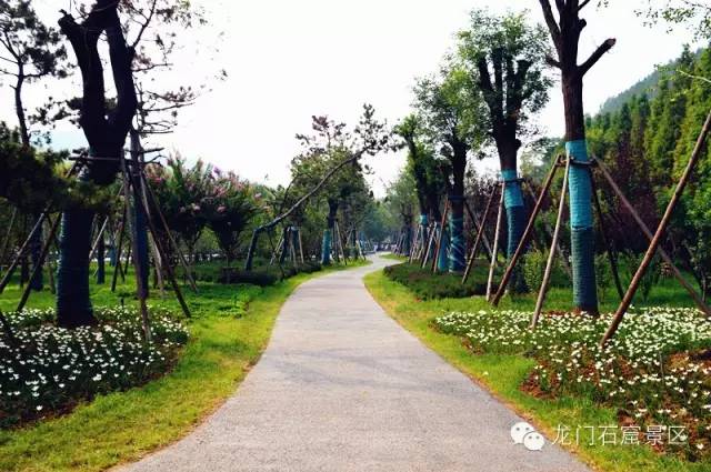 Shooting tips in Longmen Grottoes