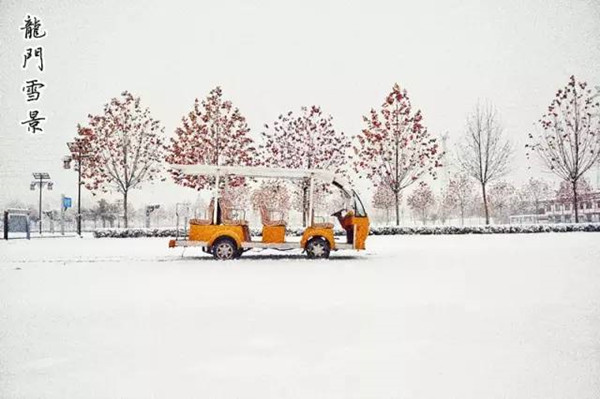 Snow makes Longmen Grottoes more beautiful