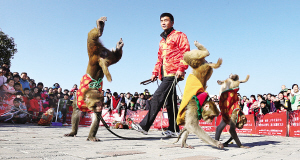 Lantern Festival celebrations in Nanyang