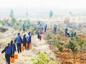 Nanyang residents spring to action to plant trees