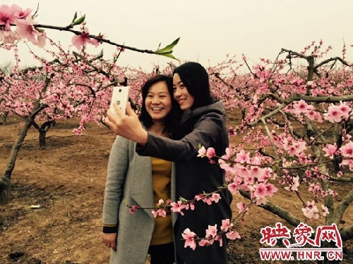 Peach blossom art festival opens in Jinwan village