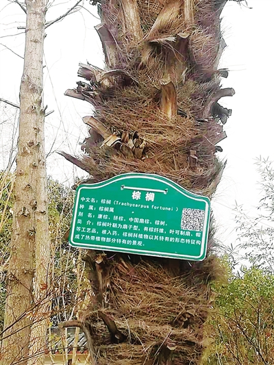 Plants in Nanyang gardens equipped with info cards