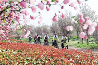 Flowers bloom in Nanyang as spring arrives