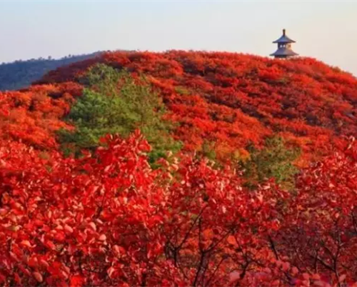 Nanyang, an ideal place for nature lovers