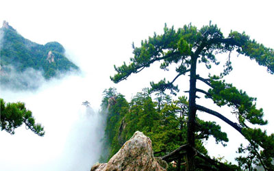 Pingdingshan gains four more triple-A scenic spots