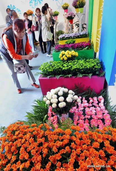 Kaifeng Int'l Chrysanthemum Exhibition kicks off