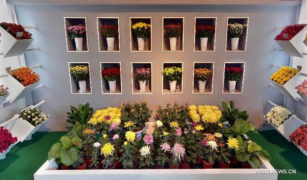 Kaifeng Int'l Chrysanthemum Exhibition kicks off