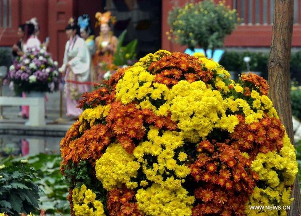 Kaifeng Int'l Chrysanthemum Exhibition kicks off