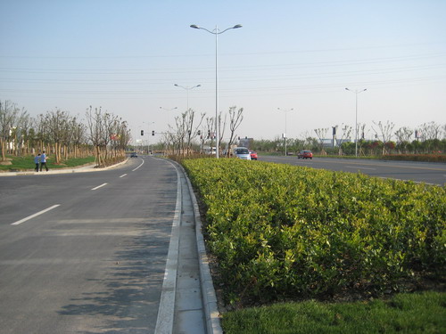 Afforestation in the Northern Section of Yan Hu Road in Smooth Progress