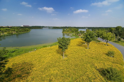 Tianfu becomes first national wetland park in Kunshan