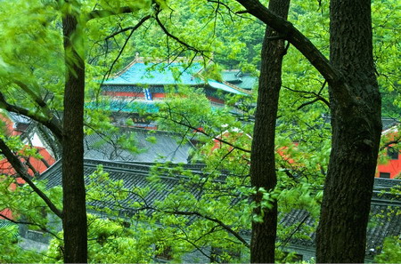 Wudang Mountain